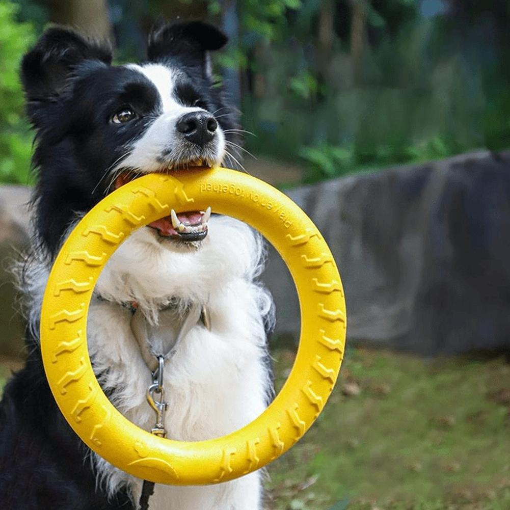 Suction Cup Dog Tug Toy - Medium Big Dog Training Ring Puller