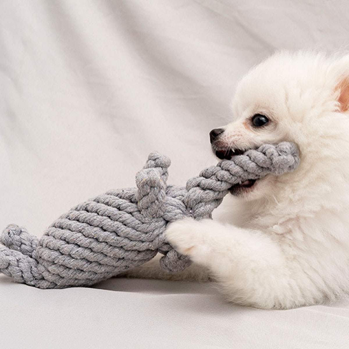 Hot rope knot grinding teeth r - Indestructible Dog Chew Toy recension och pris