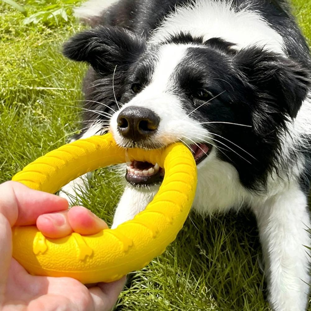 Medium Big Dog Training Ring P - Suction Cup Dog Tug Toy recension och pris