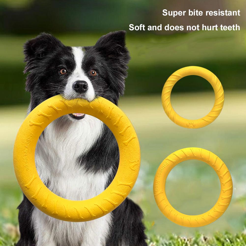 Medium Big Dog Training Ring P - Suction Cup Dog Tug Toy recension och pris