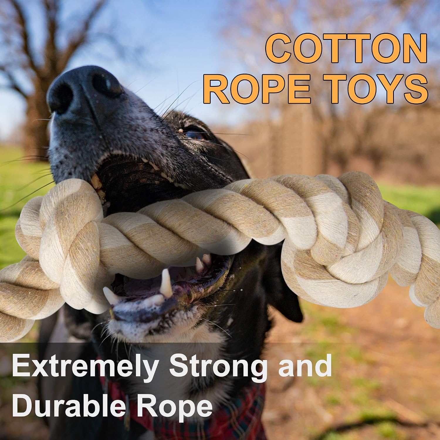 Durable Rope Chew Toys for Agg - Dog Rope Toy Aggressive Chewers recension och pris