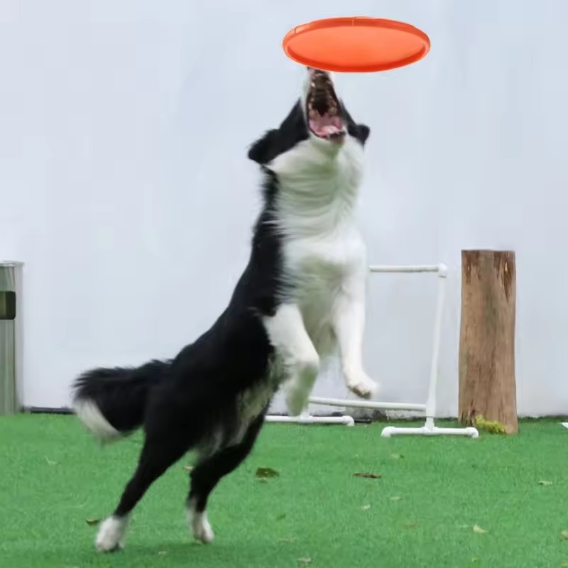 Interactive Silicone Flying Sa - Flying Disc Dog Training Toy recension och pris
