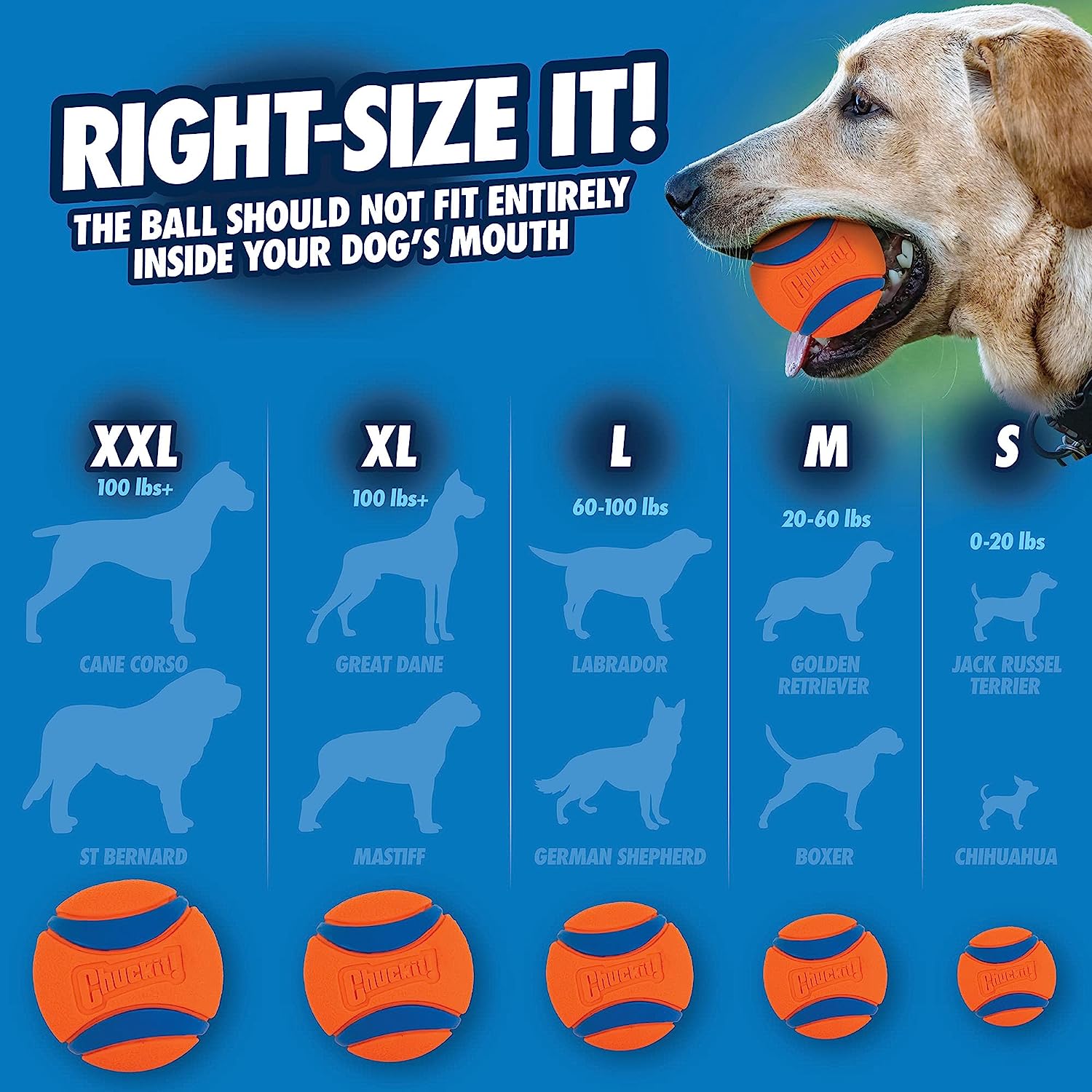 Chuckit Ultra Ball Dog Toy - Indestructible Dog Chew Toy recension och pris