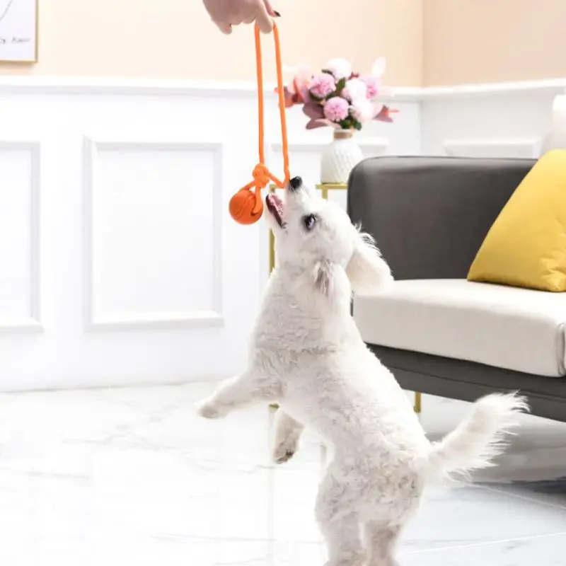 Dog Training Ball on Rope Cott - Suction Cup Dog Tug Toy recension och pris