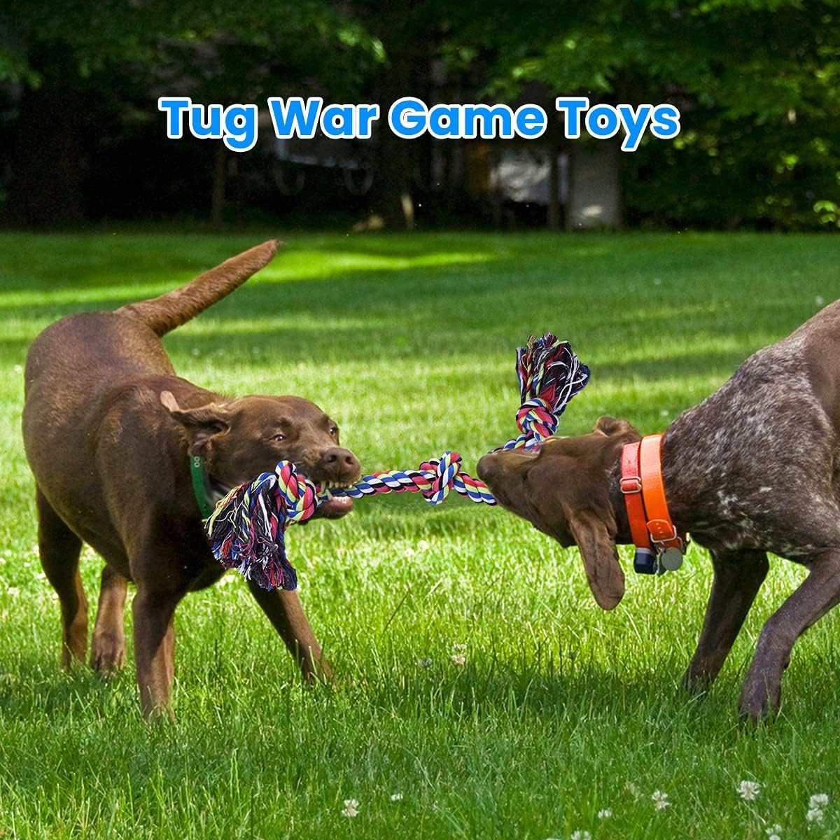 Tough Rope Dog Toys for Large  - Dog Rope Toy Aggressive Chewers recension och pris
